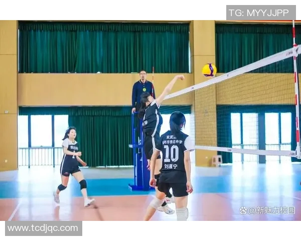 南京排球队实力分析与发展潜力探讨聚焦排球运动的未来之路 南京排球队实力分析与发展潜力探讨聚焦排球运动的未来之路
