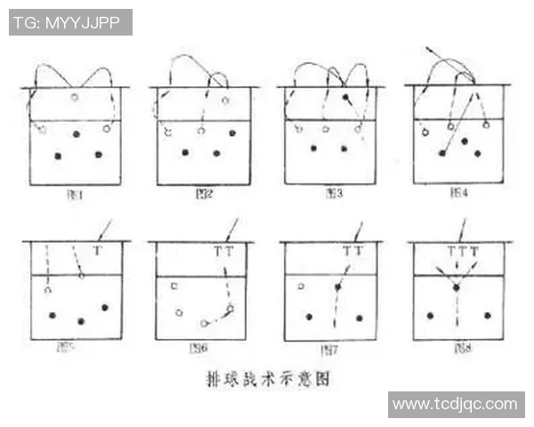 深圳排球队在挑战赛中的战术表现分析与点评探讨