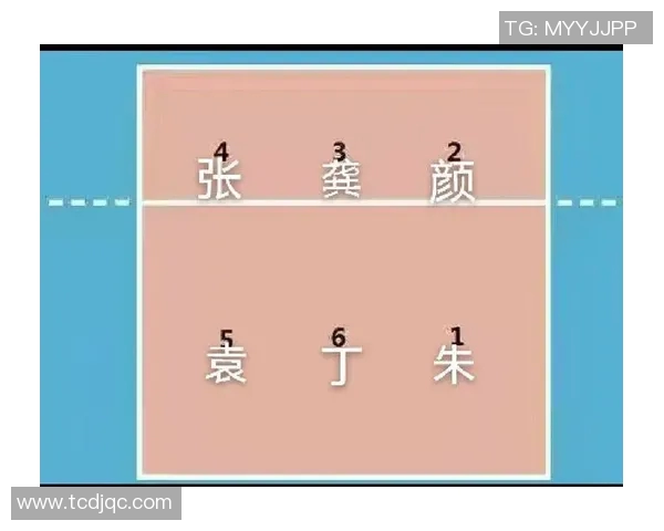 赛后分析:西安排球队与成都排球队技术对比与战术探讨